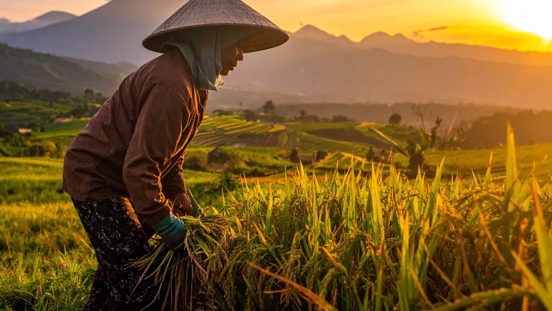 bali-4-mentor-explorers