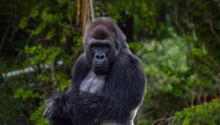 Αποστολή στην Ουγκάντα